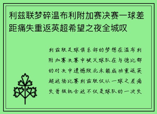 利兹联梦碎温布利附加赛决赛一球差距痛失重返英超希望之夜全城叹
